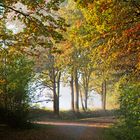 Unser Radweg im Herbst