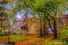 Unser Rathaus Garten im Herbstlichen Blätterkleid