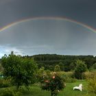 Unser Regenbogen