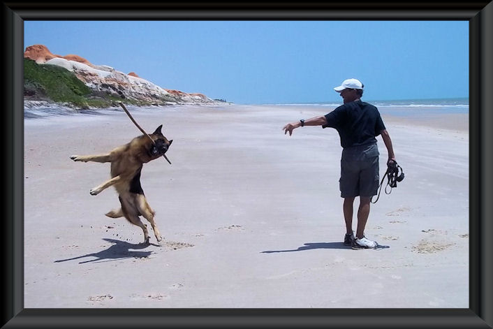 Unser Rüde ist am Strand nicht mehr zu halten