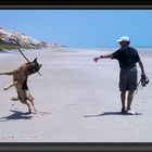 Unser Rüde ist am Strand nicht mehr zu halten