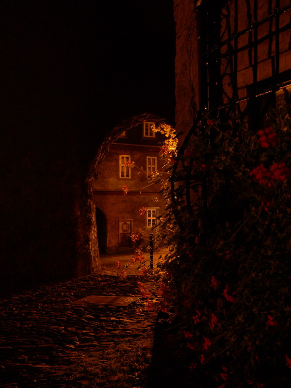 unser Schloß abends im Herbst