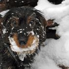 Unser Schneemädchen 1