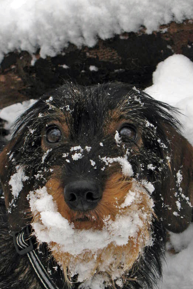 Unser Schneemädchen 2