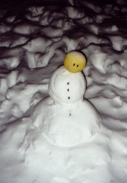 Unser Schneemann ist happy! 1