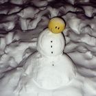 Unser Schneemann ist happy! 1