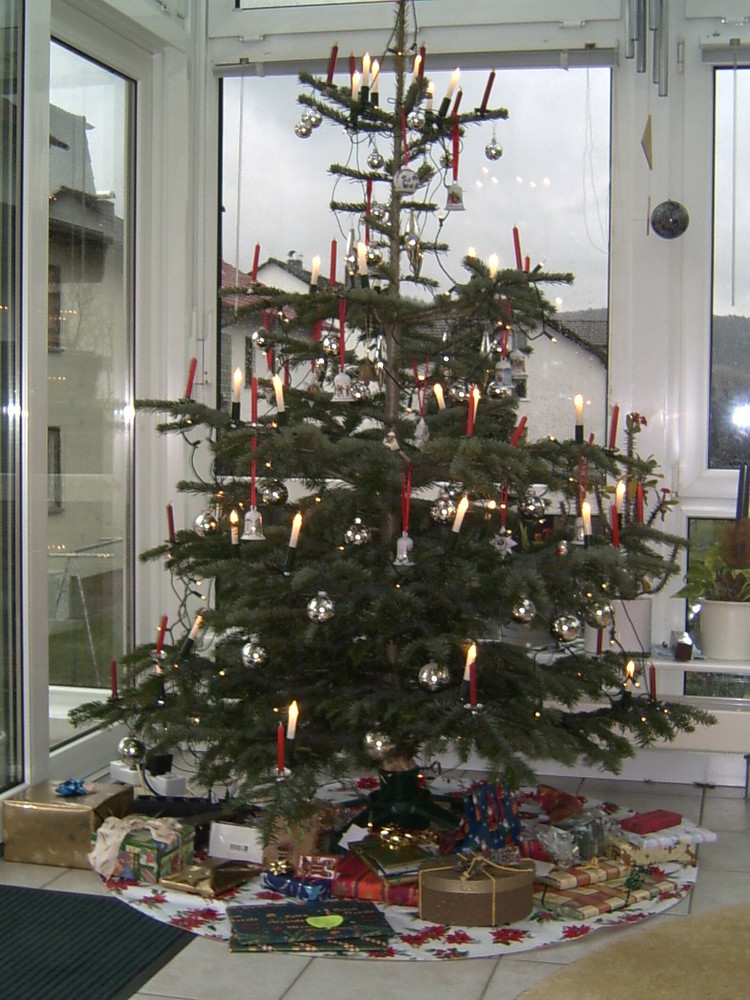 Unser Schoner Weihnachtsbaum Von 06 Foto Bild Pflanzen Pilze Flechten Natur Bilder Auf Fotocommunity