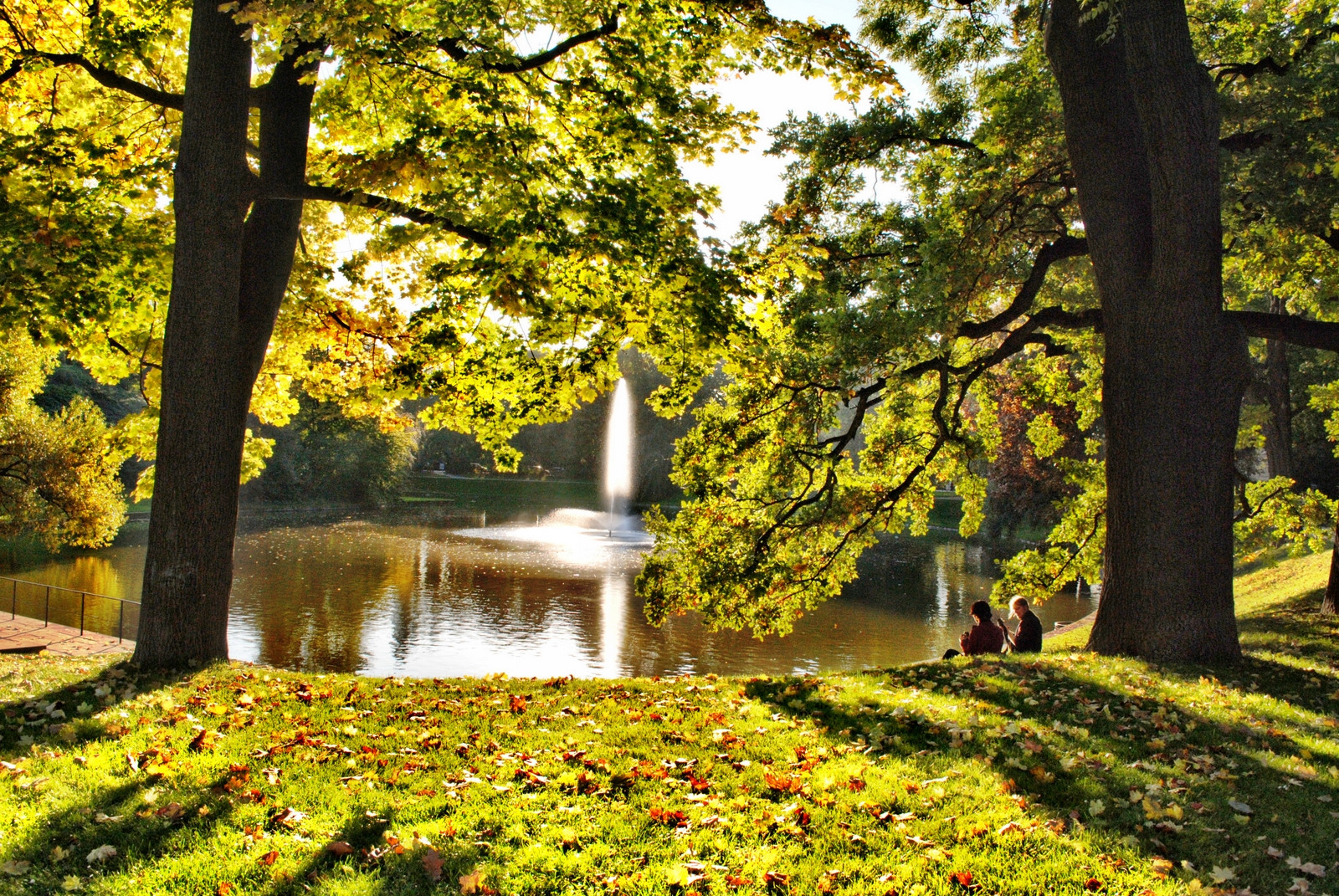 Unser schönes Dresden: - Am Zwingerteich -