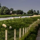 Unser schönes Ostfriesland