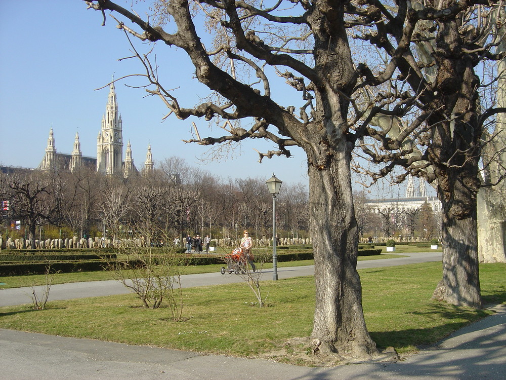 Unser schönes Rathaus in Wien.........