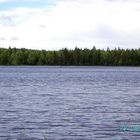 "Unser See" In Finnland  Konnevesi