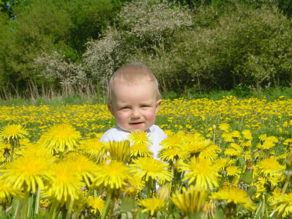 Unser Sonnenschein 1