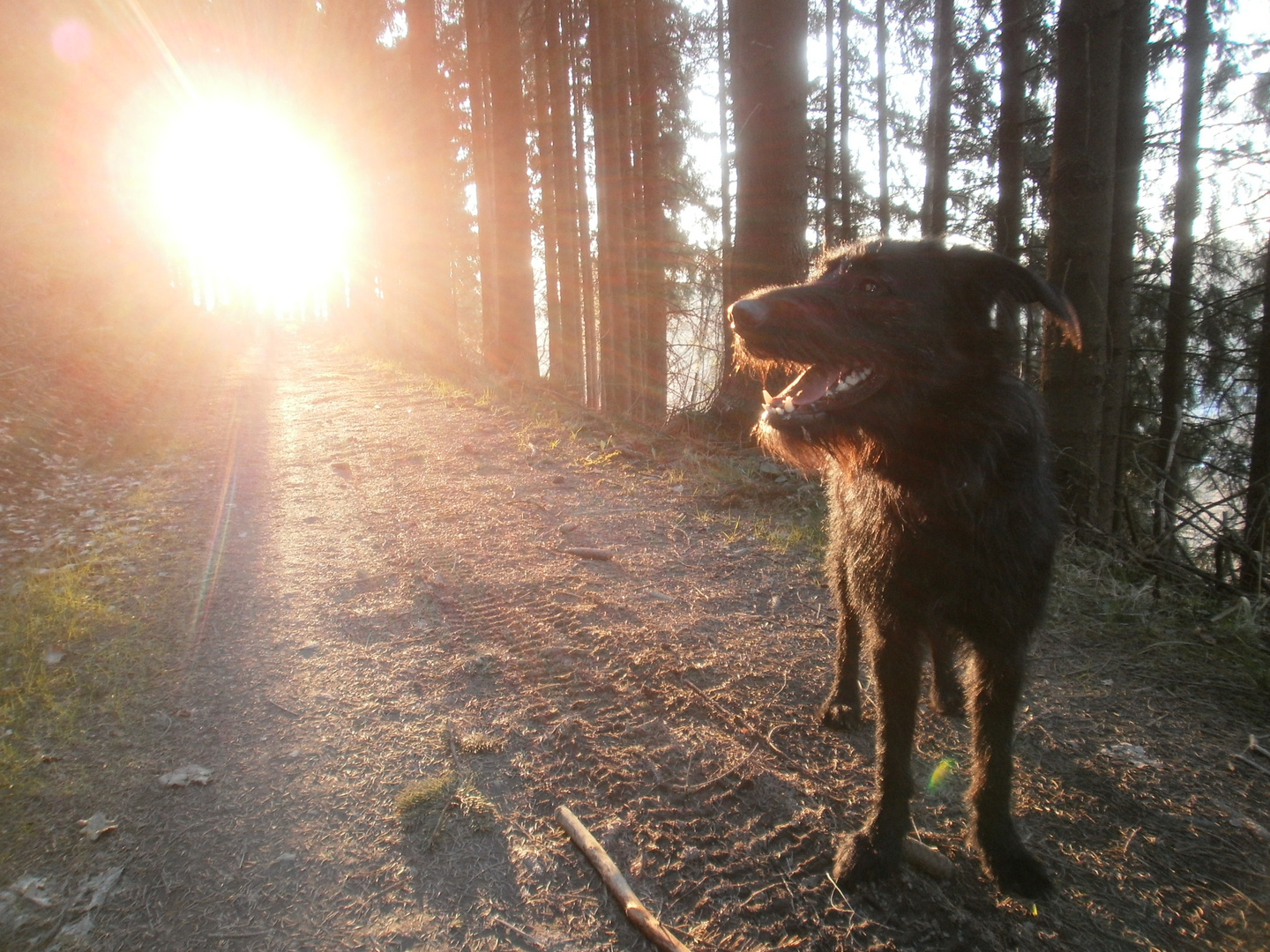 Unser Sonnenschein im Sonnenschein