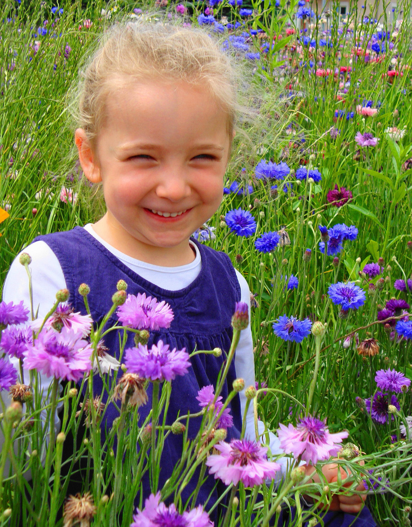 Unser Sonnenschein in der Blumenwiese...