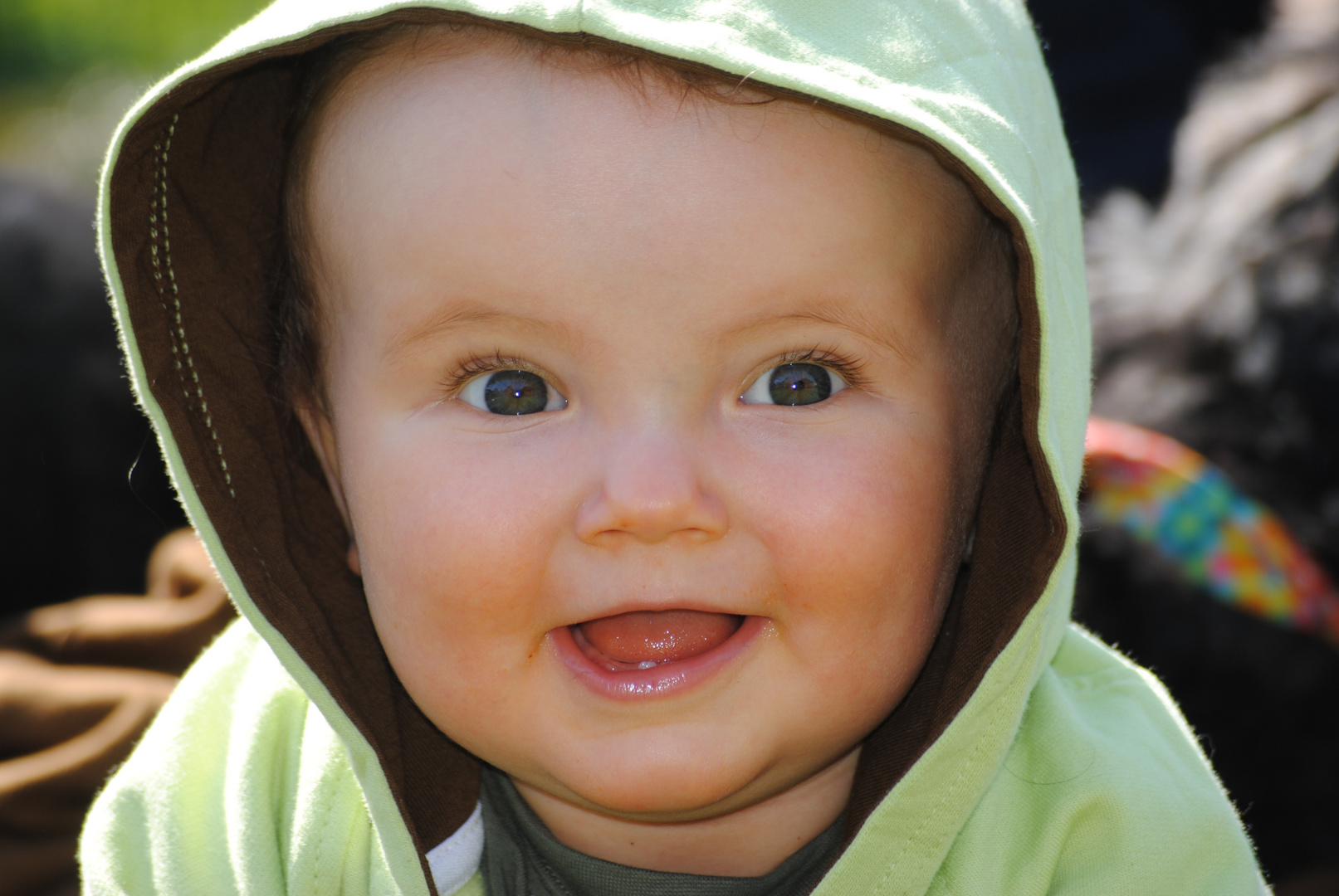 Unser Sonnenschein Titus