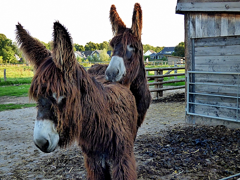 Unser Spaziergang . . .