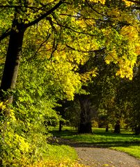 Unser Spazierweg - Hemmingen/Hannover