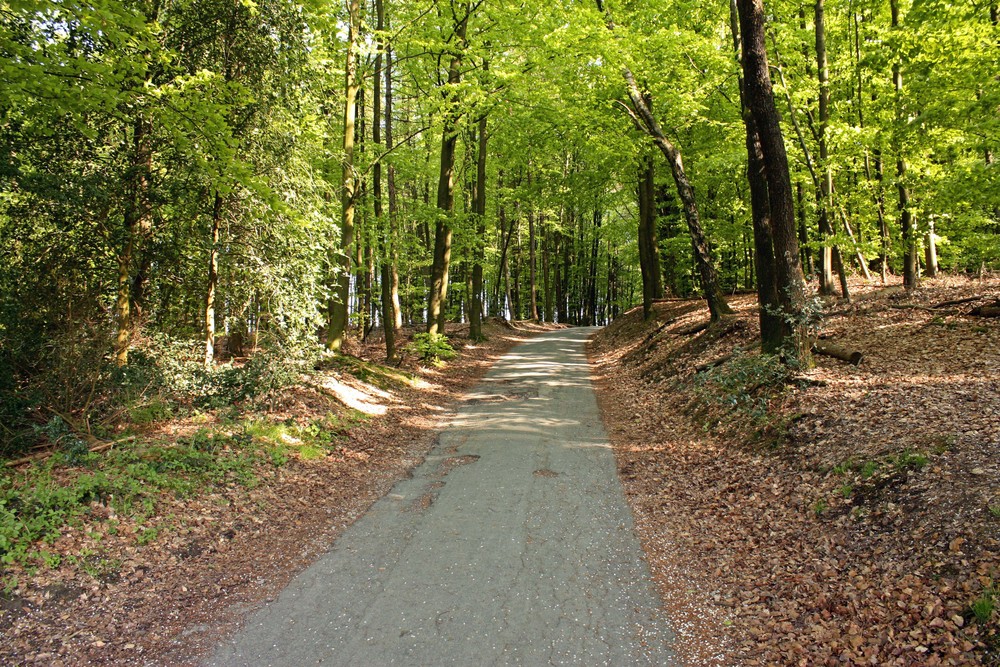 unser Spazierweg in der Elfringhauser Schweiz