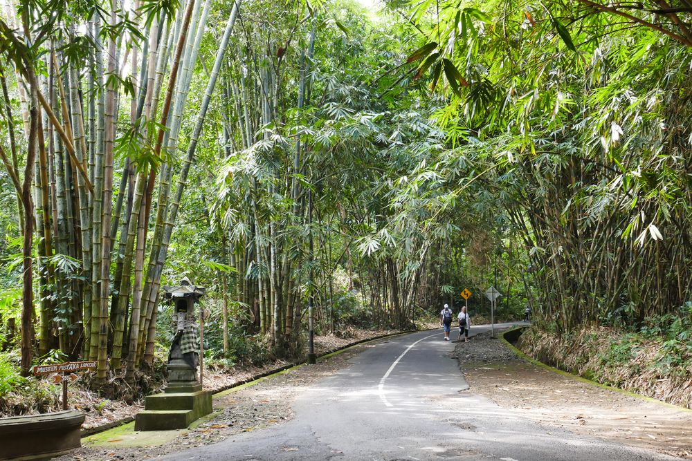 ...unser Spazierweg zu Bali Asli...