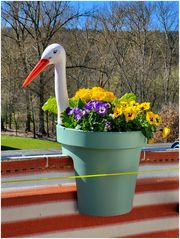Unser Storch...