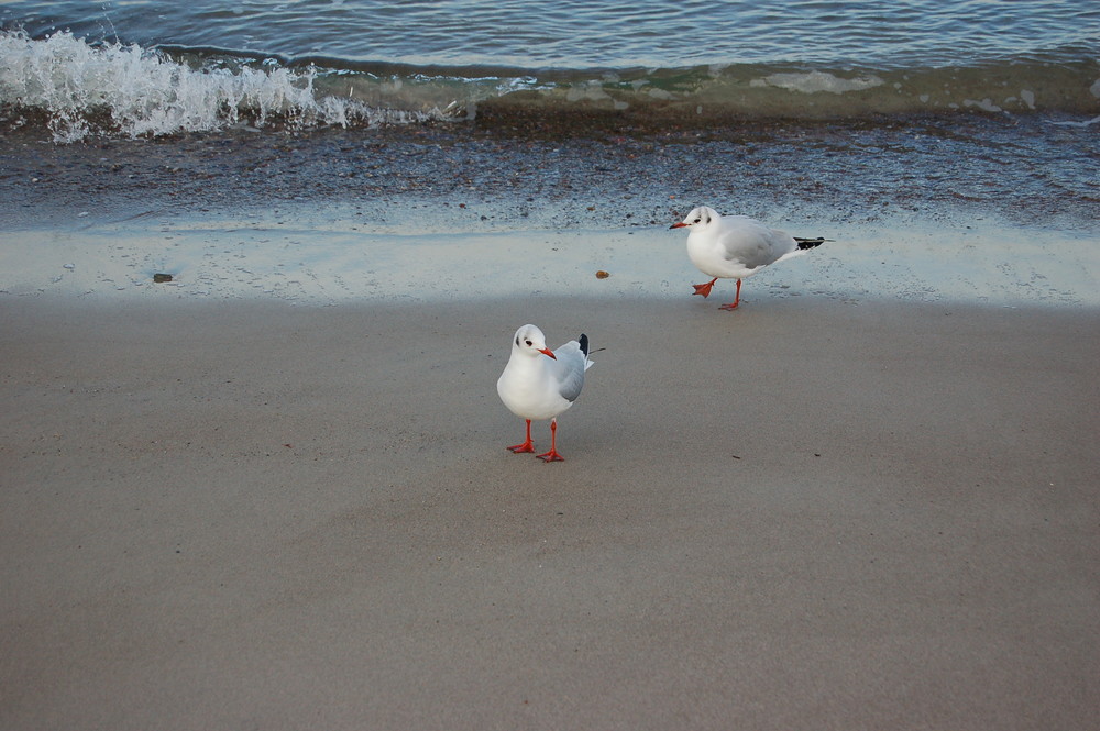 Unser Strand