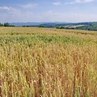 Unser täglich Brot