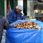 Unser täglich Brot