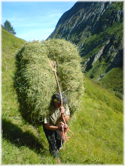 Unser Tate bei der Bergmahd im Froßnitztal 2008