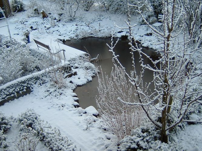 Unser Teich im Winter
