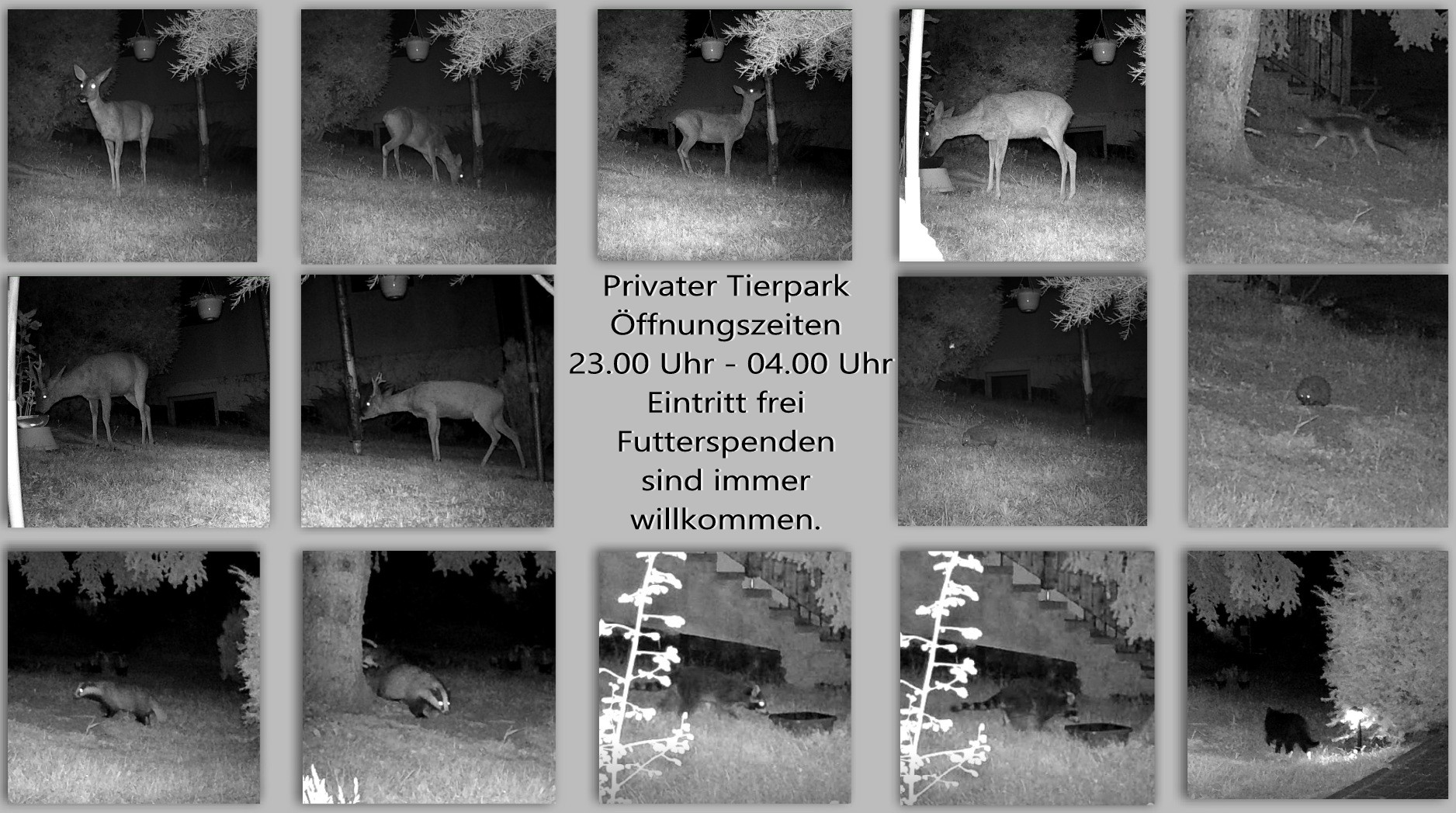 Unser Tierpark 