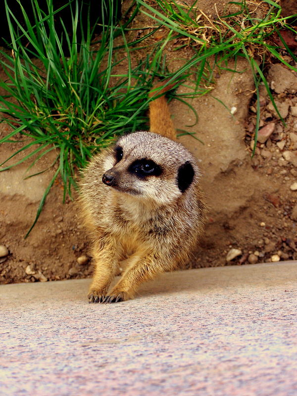 unser Tierparkbesuch