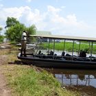 Unser Touren Boot auf dem Chobe River