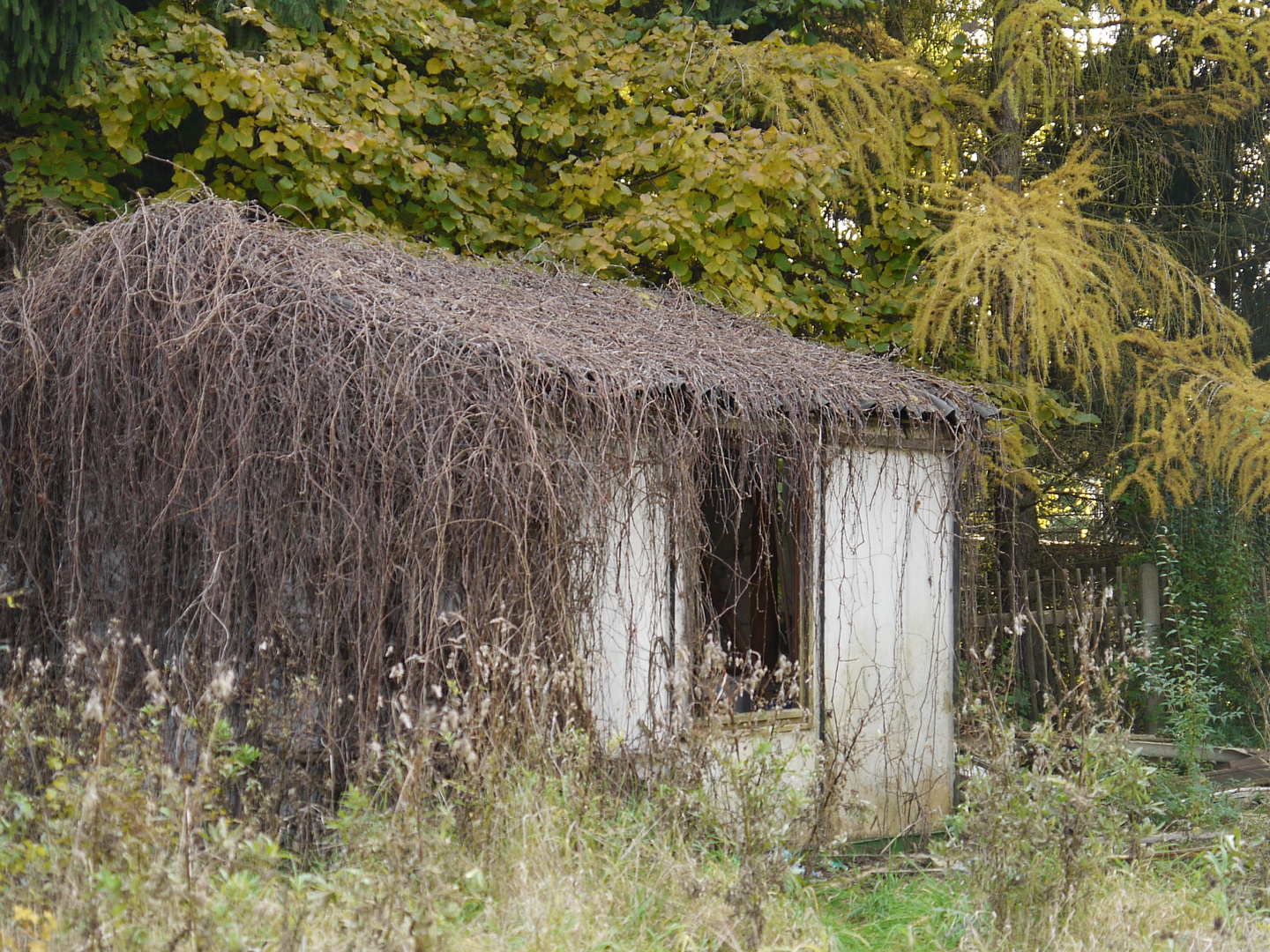 Unser Traum vom Haus, oder "Die Schnäppchenhäuser"0der "Die Hoa die Hoa"