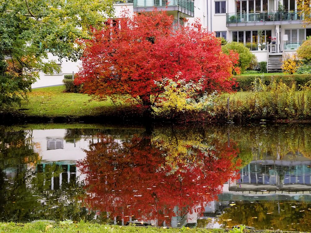 Unser Urlaub in Schleswig Holstein - An der Trave in Lübeck