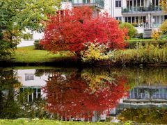 Unser Urlaub in Schleswig Holstein - An der Trave in Lübeck