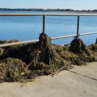 Unser Urlaub in Schleswig Holstein - Hafen Travemünde