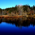 Unser Waldsee in Lindenberg in Allgäu