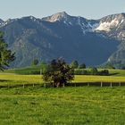 Unser Wandergebiet in Pötzing in Oberbayern bei "Wendelstein und Co"...