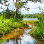 Unser Weg in Wilpattu