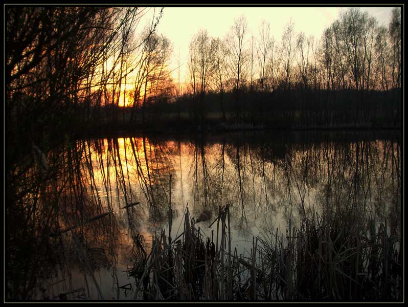 Unser Weiher hinterm Haus