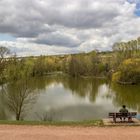 Unser Weiher im Frühling