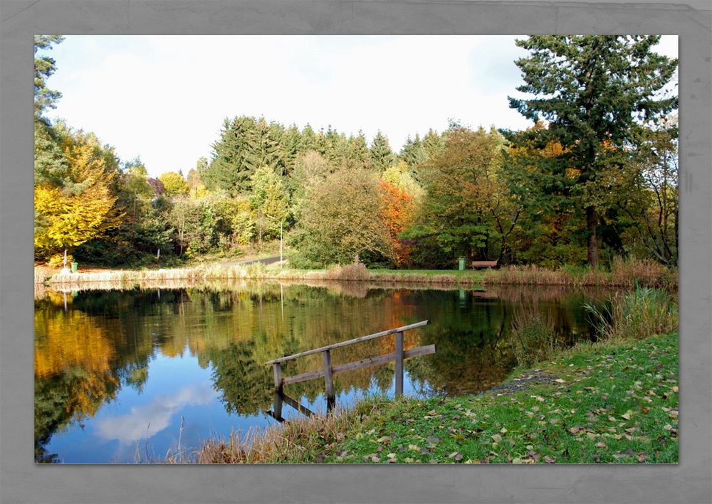 Unser Weiher im Herbst