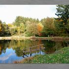 Unser Weiher im Herbst