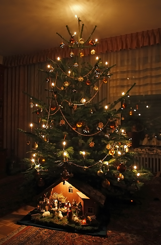 unser Weihnachtsbaum