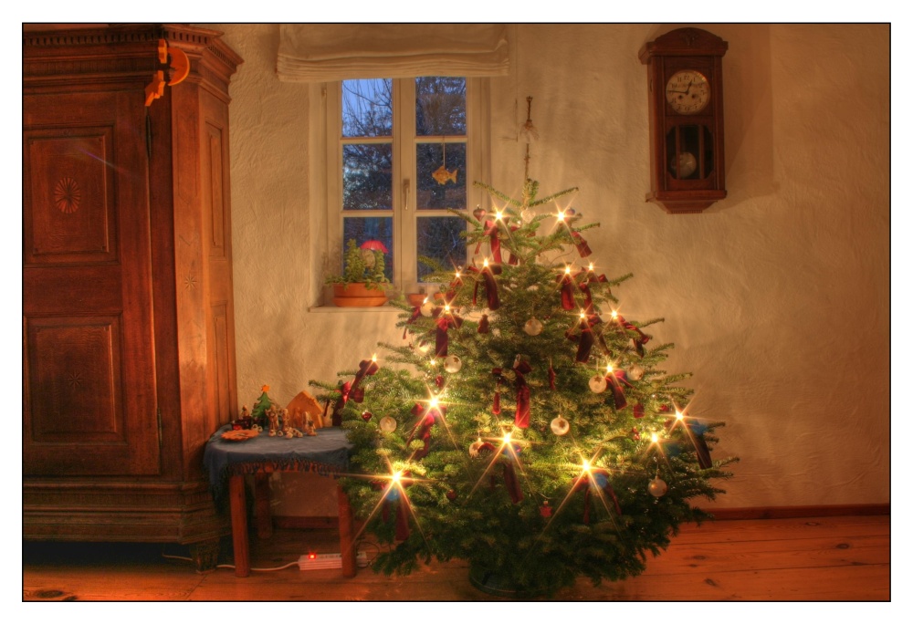 Unser Weihnachtsbaum 2006