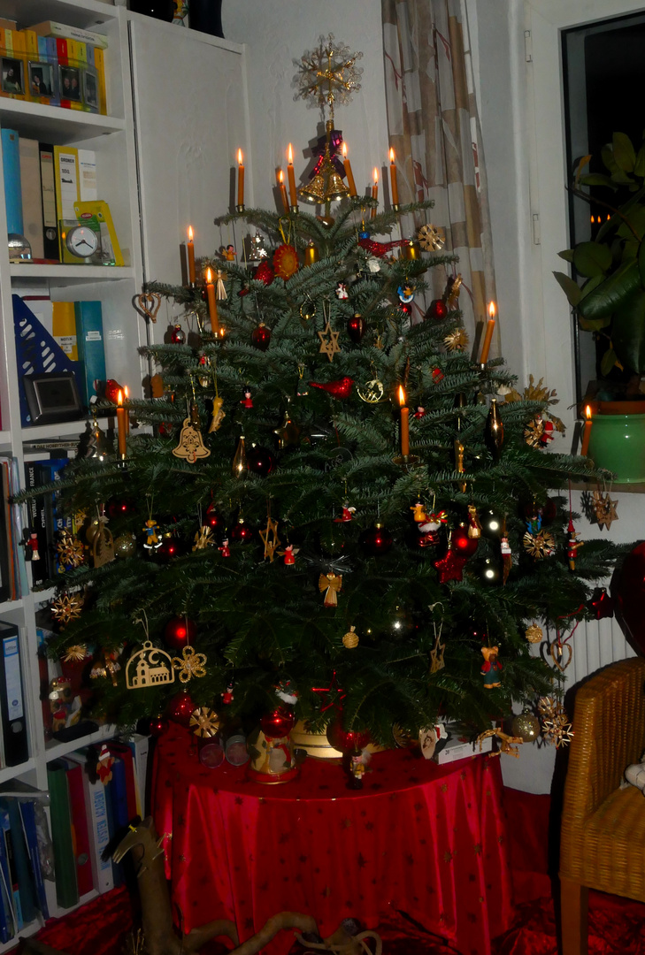 Unser Weihnachtsbaum 2023-24