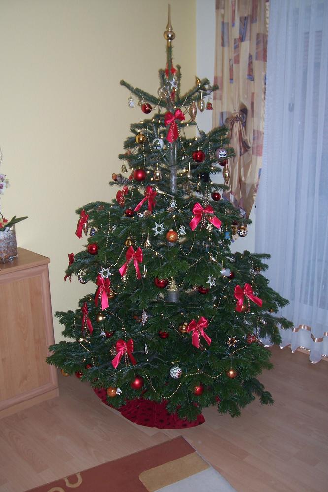 Unser Weihnachtsbaum