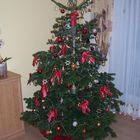 Unser Weihnachtsbaum