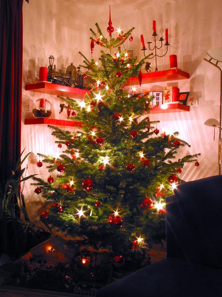 Unser Weihnachtsbaum von Michael Fischlein