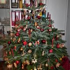 Unser Weihnachtsbaum an Weihnachten 2022